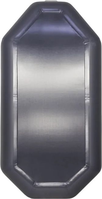 Барс 200